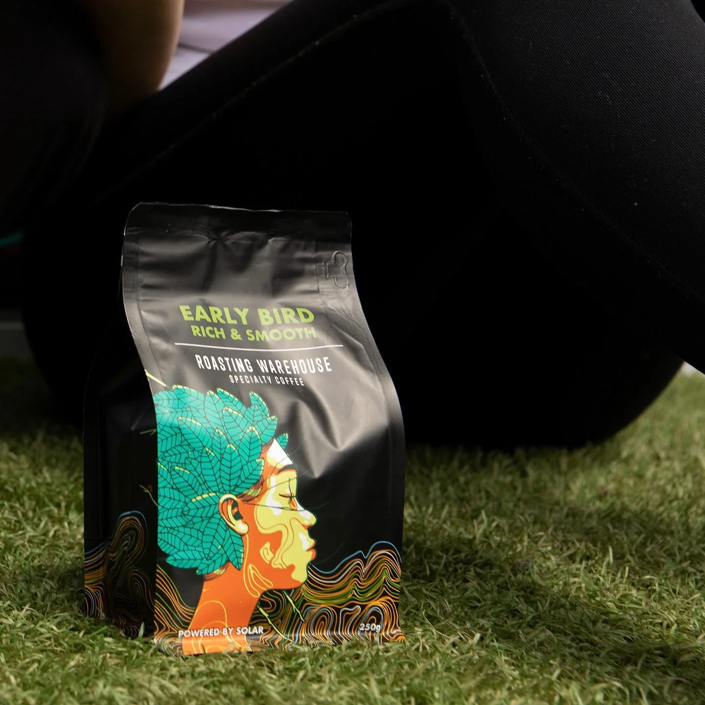 Early Bird - Image 4